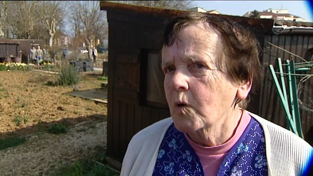 Dijon : le soleil fait pousser les jardiniers, dans les jardins ouvriers