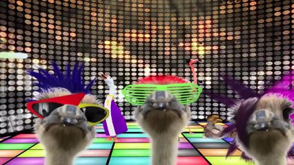 Dj iQuitsmoking brings it back