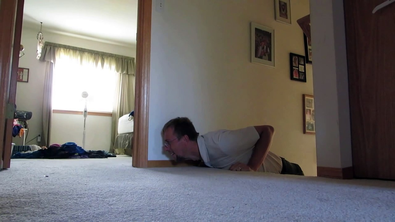 Adorable kitten Button playing hide and seek with her dad having fun playtime!