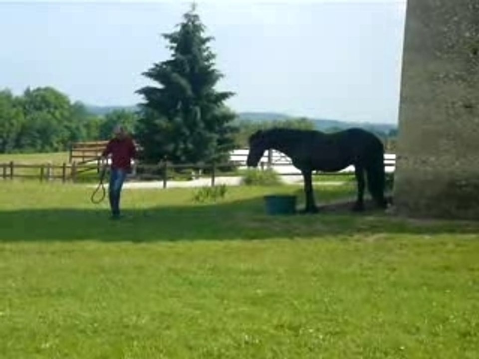 P1010721