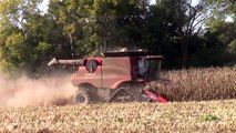 Case IH 9230 Axial-Flow on Tracks