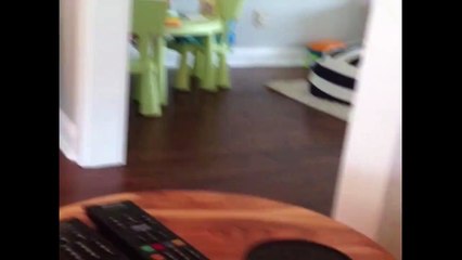 The Most Adorable Game Of Hide And Seek