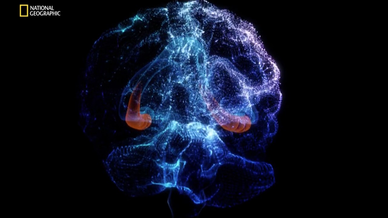 Çığır Açan Buluşlar: Beynin Sırları (Nat Geo Türkçe Belgesel HD)