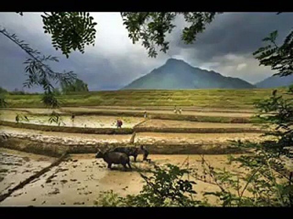 Very Sad Song About Kashmir