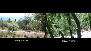 Sony A3000 vs Nikon D5000