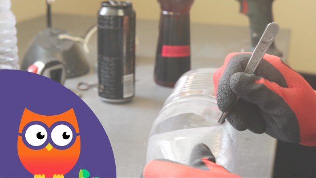 Comment fabriquer et utiliser un piège à frelons asiatiques (Ooreka.fr)