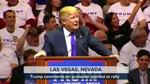 Donald Trump on Rally Protester: ‘I’d like to punch him in the face’
