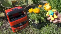 Learn to Plant Flowers with Giraffe Moffy, Truck & Excavator GARDENING Demo Education For Kids