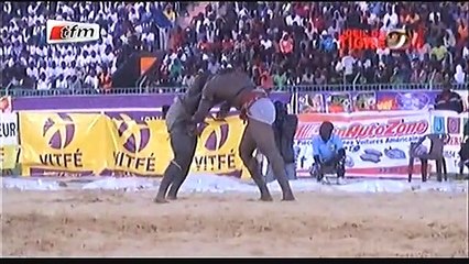 L'oeil du tigre 15 Mars 2016 Résumé