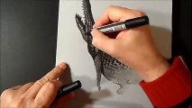 Trick Art Drawing 3D Crocodile, Visual Illusion