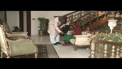 Dasht e Tanhai Episode 23