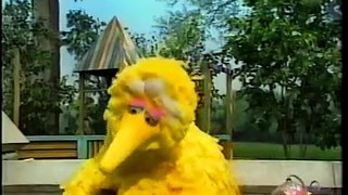 Sesame Street - Wolfgang Chases Wanda The Fish