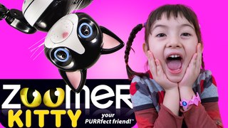 ZOOMER KITTY GOES WILD You Won't Believe what she does next Toys Review Children Videos
