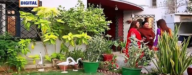 Gudiya Rani Episode 179 on Ary Digital Top Pak Drama