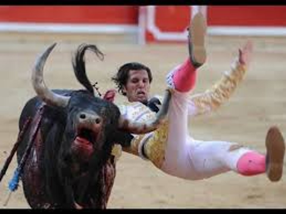 Animal Attacks Compilation 2016 HD ll PART 01 ( BULL) - Discovery Channel