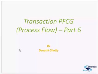 Transaction PFCG (Process Flow) Part 6 _ SAP