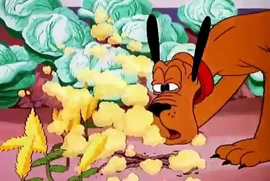 Pluto Mickey Mouse Walt Disney Classic Collection First Aiders Cartoons For Children