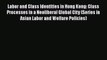 Read Labor and Class Identities in Hong Kong: Class Processes in a Neoliberal Global City (Series
