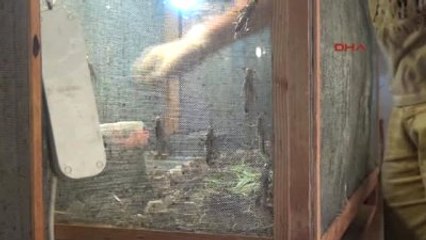 Antalya-Hamam Böceği, Çekirge, Kurtçuk Üretip Satıyorlar