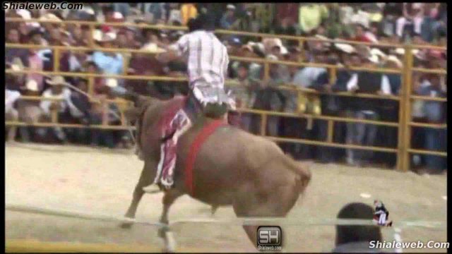 SUPER JARIPEO RANCHERO EN JARACUARO MICHOACAN MEXICO SALVAJES TOROS SON MONTADOS POR VALIENTES JINETES MARZO 2016