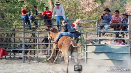 JARIPEO DE PUEBLO EN EL SALITRE TEJUTLA CHALATENANGO EL SALVADOR GANADERIA FLACA Y JINETES AFICIONADOS MARZO 2016
