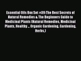 Read Essential Oils Box Set #39:The Best Secrets of Natural Remedies & The Beginners Guide