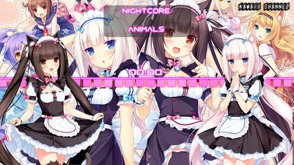 Nightcore Animals