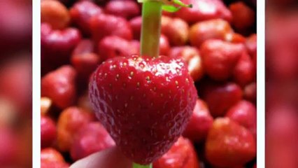 10 Tips to Help Improve Your Daily Life