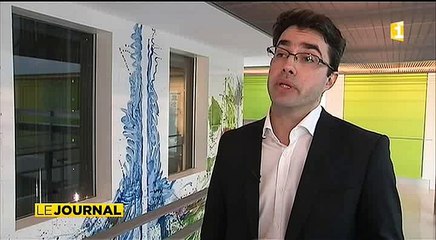 Zika et microcéphalie : risque maximum en début de grossesse