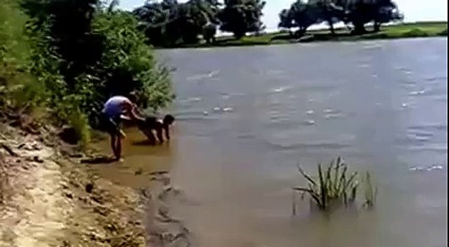 Сазан летом