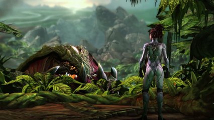 ★ Starcraft 2 - Heart of the Swarm - The Movie Extended Cut - ALL HD Cinematics & MORE!