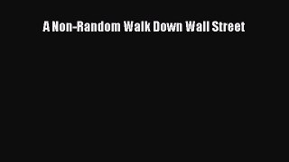 Read A Non-Random Walk Down Wall Street Ebook Free