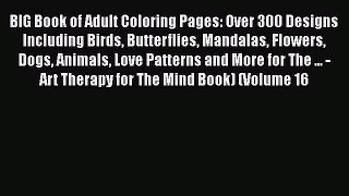 Read BIG Book of Adult Coloring Pages: Over 300 Designs Including Birds Butterflies Mandalas