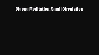 Download Qigong Meditation: Small Circulation PDF Free