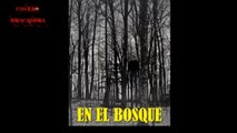 3 Creepypastas de SLENDERMAN - (Loquendo)