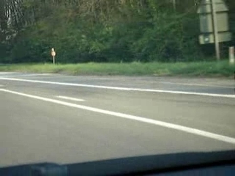 Les amis de la Civic