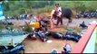 Elephant runs amok in southern India, flings vehicles