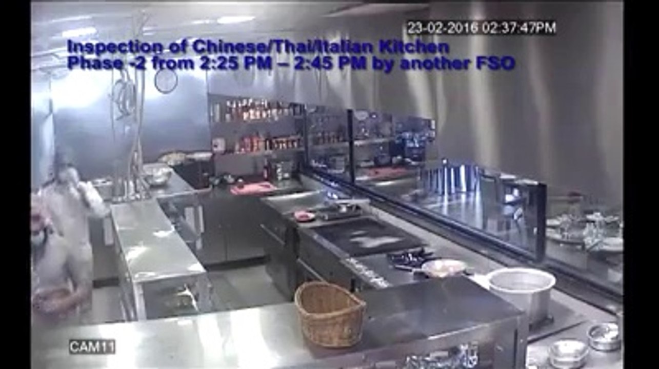 Leaked Video Footage of Ayesha Mumtaz Raid On Monal Restaurant