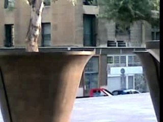 Tourbillon des oliviers