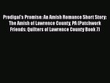 [PDF] Prodigal's Promise: An Amish Romance Short Story: The Amish of Lawrence County PA (Patchwork