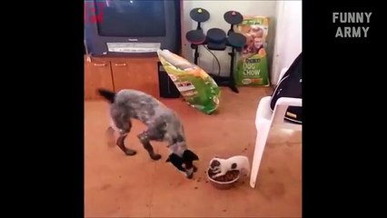 Funny videos 2016 (Try not to laugh or Grin) Challenge Impossible & Funny Pranks HOT