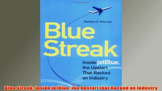 Free PDF Download  Blue Streak Inside jetBlue the Upstart that Rocked an Industry Read Online