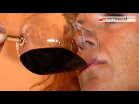 Tg Antenna Sud - Ecco il Negroamaro per vegani e vegetariani