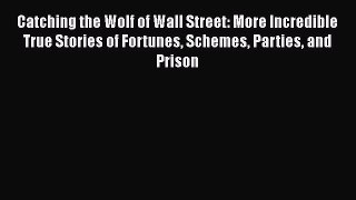 Download Catching the Wolf of Wall Street: More Incredible True Stories of Fortunes Schemes