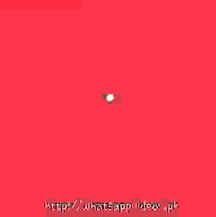 clever mircho very funny must watch