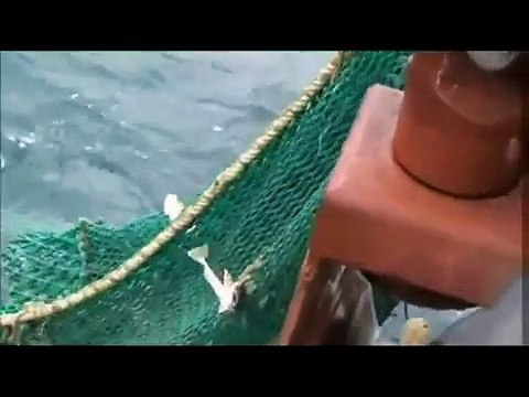 Рыбопромысловые суда ЦКБ-ЛК-Шхуна