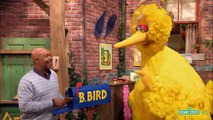 Sesame Street - The Good Birds Club