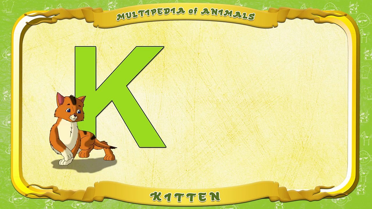 Multipedia of Animals. Letter K Kitten