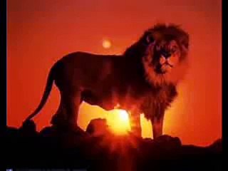 Tribulation Could Start July 23rd