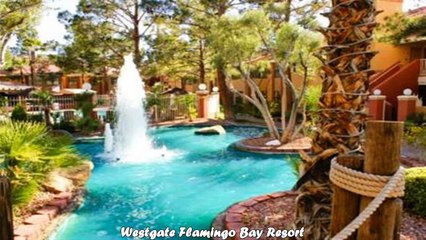 Descargar video: Hotels in Las Vegas Westgate Flamingo Bay Resort Nevada